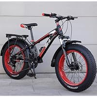 大人用タイヤが太い自転車 EIZER ファットバイク 20インチ 極太タイヤ 太いタイヤ シルバー