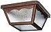 Acclaim 4901BW Builder