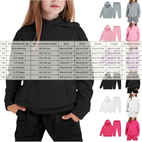 Toddler Kids Cute Sweatsuit Boys and Girls 2 Piece Tracksuit Hooded Sweatshirts Joggers Sweatpants Fall Outfits Sets4