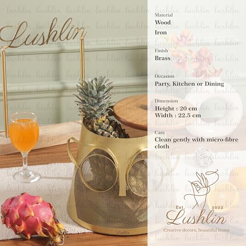 Image of LUSHLIN Metal Fruit Basket with Lid for Kitchen & Dining Table | Insect Proof Mesh Fruit & Vegetable Basket | Countertop Storage Basket for Fruits, Vegetables & Snacks (Gold, 22.5 cm)