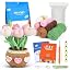 Tulip Kit