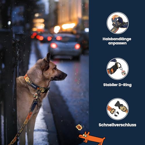 PawView Collar and Lead Set including QR Dog Tag Adjustable Ideal for Daily Walks Artistic Dog Lead with Collar Set for Puppy & Adult Dogs L (Neck 46-66cm,Width 2.5cm,Lead: 1.8 m) - Image 2