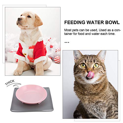 TEHAUX 1 Conjunto de Estação de Alimentação de Água e Comida para Animais de Estimação com Tapete à