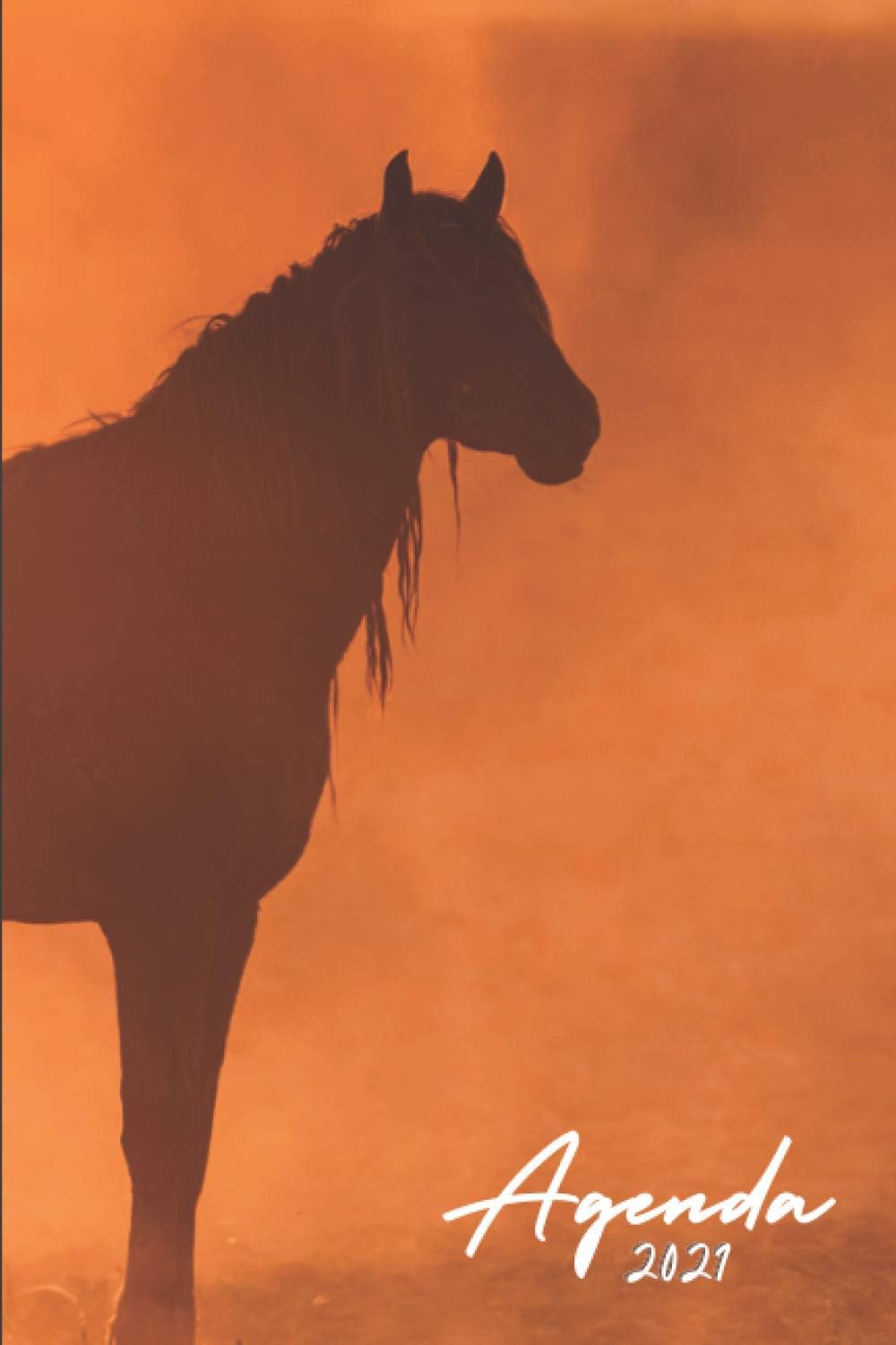 Agenda 2021 Caballos: Agenda 2021 semana vista Caballo - una Semana en dos Páginas - organizador - planificador semanal y mensual 12 meses A5 - ... - regalo para mujer hombre & horses lovers
