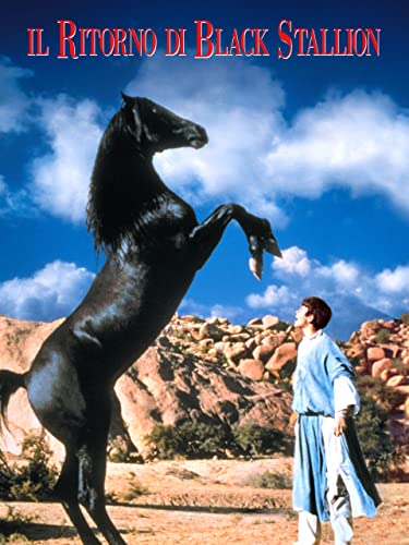  Il ritorno di black stallion