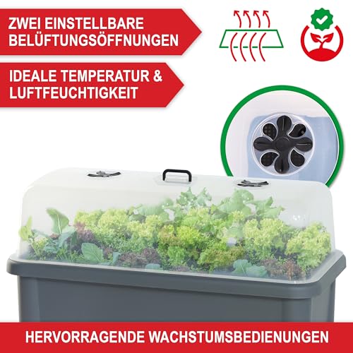 Hochbeet Aus Akazienholz – 100x40x84 Cm, Mit Vlies-Einlage, Ideal Für Kräuter, Blumen Und Gemüse