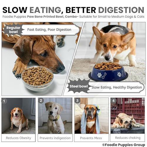 Image of Foodie Puppies Stainless Steel Dog Bowl Combo - (Medium, 700ml) Food and Water Feeding Gift Bowl | Suitable for Dogs, Cats and Other Pets I Paw Bone Print, Anti-Skid Rubber Base (Black + Blue)