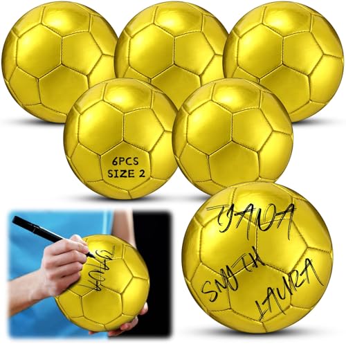 WinnerWhy Gold Autograph Soccer Ball Official Size Mini Trophy Soccer Golden Custom Football with...