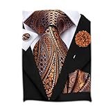 Hi-Tie Mens Silk Ties Lapel Pin Handkerchief Cufflinks Set Striped/Paisley/Floral Necktie Sets Wedding Business Party,Orange Paisley