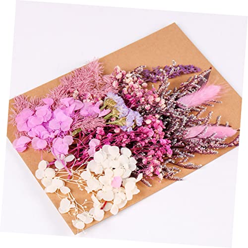 Kit de flores secas para manualidades DIY STOBAZA miniatura 7