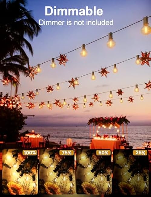 RTTY Outdoor String Lights 100 FT Globe LED Patio Lights with G40 Plastic Bulbs,Waterproof Shatterproof Dimmable Connectable Hanging for Backyard Porch Balcony Party Cafe Deck Decor