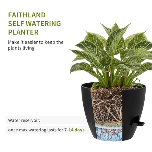 FaithLand 3-Pack Planter Pots, 10 9 8 Inch Self Watering Flower Pots for Indoor Outdoor Garden Plants, Black with Brown by FaithLand - Image 4