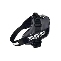 Julius-K9, Pettorina IDC Power