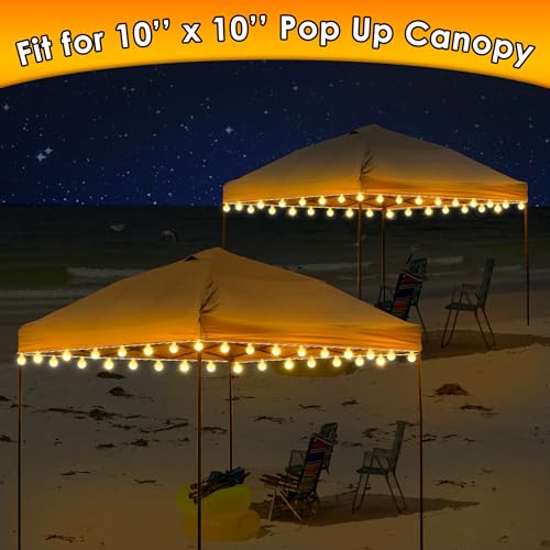 ElectricWise 40FT Battery Canopy Lights
