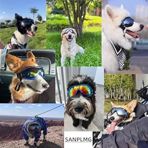 Dog-Soft-Cute-SunglassesPet-GogglesFlexible-FrameWind-ProofDust-ProofEye-protectionwith-Adjustable-StrapsSmall-Medium-Dogs-for-Outdoor-CyclingSkiMotorcycle-SP3003-PinkRed - Cucciolini Doodles   Dog-Soft-Cute-SunglassesPet-GogglesFlexible-FrameWind-ProofDust-ProofEye-protectionwith-Adjustable-StrapsSmall-Medium-Dogs-for-Outdoor-CyclingSkiMotorcycle-SP3003-PinkRed