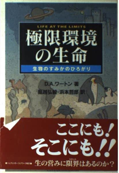 本物の使い心地をあなたに。身体のゆがみを整える極上の一本。 4D-Stretch