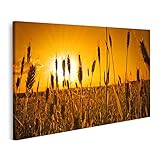 Toutes les images sont imprimées avec des encres à base d'eau écologiques de haute qualité et offrent un résultat de couleur fantastique avec des contrastes élevés. Naturel et sans solvant. De véritables images accrocheuses sont une merveilleuse façon de concevoir vos pièces. Décorez votre salon, chambre, chambre d'enfant, cuisine, couloir, bureau ou bureau et créez votre propre atmosphère de bien-être.
