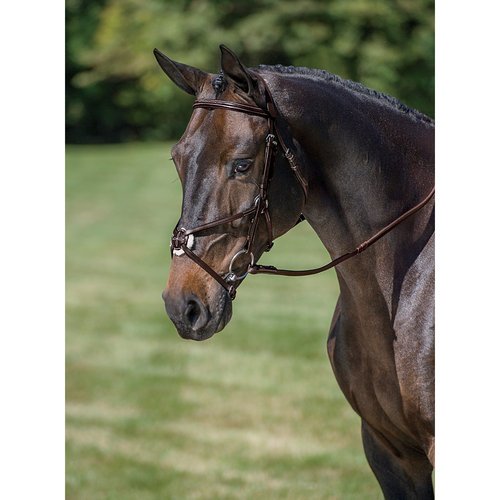 Dover Saddlery Figure-8 Bridle, Color: Brown, Size: Horse-F/S