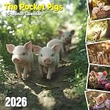 The Pocket Pigs 2026 Calendar: Miniature pig portraits full of charm and cheer
