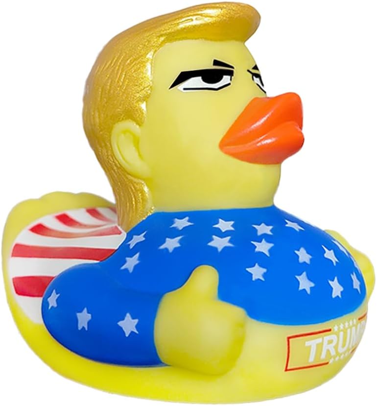https://m.media-amazon.com/images/I/5141IyA5CaL._AC_.jpg