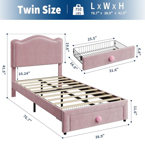 GarveeHome Upholstered Twin Bed Frame with Storage Drawer & Scallop Headboard, Princess Twin Size Platform Bed Frames for Kids Girls, Wooden Slats Support, No Box Spring Needed, Pink