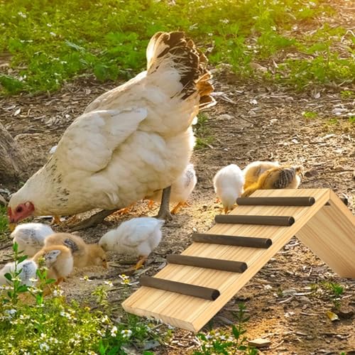 Chick Perch For Brooder, Chicken Roosting Bar & Ramp