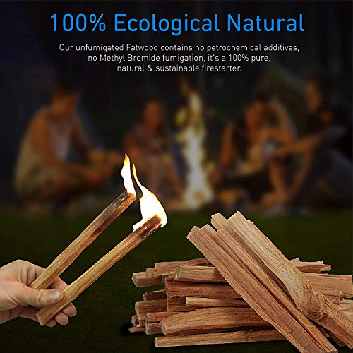 EasyGoProducts Approx. 240 Eco-Stix Fatwood Starter Kindling Firewood Sticks Wood Stoves Camping Firestarter Fire Pit BBQ, 20 Lbs