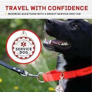 Service-Dog-Tag-Service-Dog-ID-Tag-Engraved-Stainless-Steel-Enameled-Regular-Emotional-Support-Dog-Animal-Tags-for-Large-Dogs-Cats-Collars-Vests-Harnesses-Essential-Name-Badge - Cucciolini Doodles   Service-Dog-Tag-Service-Dog-ID-Tag-Engraved-Stainless-Steel-Enameled-Regular-Emotional-Support-Dog-Animal-Tags-for-Large-Dogs-Cats-Collars-Vests-Harnesses-Essential-Name-Badge