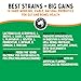 TummyWorks Probiotic 120 Soft Chews for Dogs All Ages - Supports Digestive Health, Relieves Diarrhea, Constipation, Good for Itching, Allergies, Yeast Infections. Added Digestive Enzymes, Made in USA