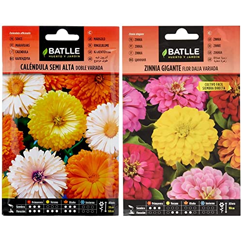 Semillas Batlle - Caléndula semi alta doble variada & Zinnia GIGANTE flor DALIA vda