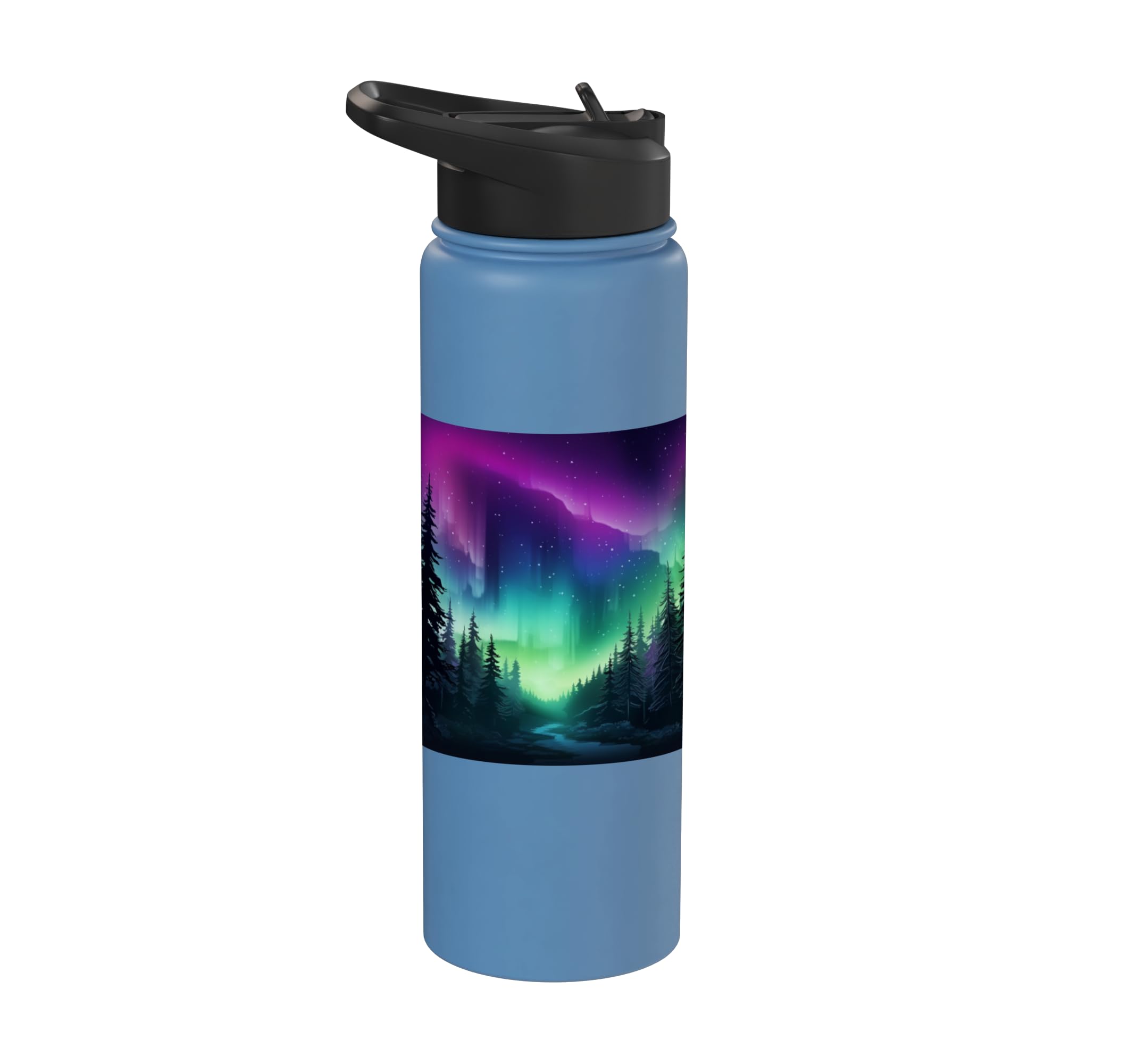 Aurora Borealis Dark Sky Nature Light Display Stainless Steel Insulated Water Bottle