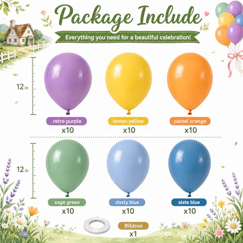 Image of Boho Rainbow Balloons, Retro Dusty Slate Blue Blush Pink Sage Green Yellow Nude Latex Balloon Muted Assorted Colorful Balloons for Kids Summer Flower Safari Baby Shower Birthday Party Decorations
