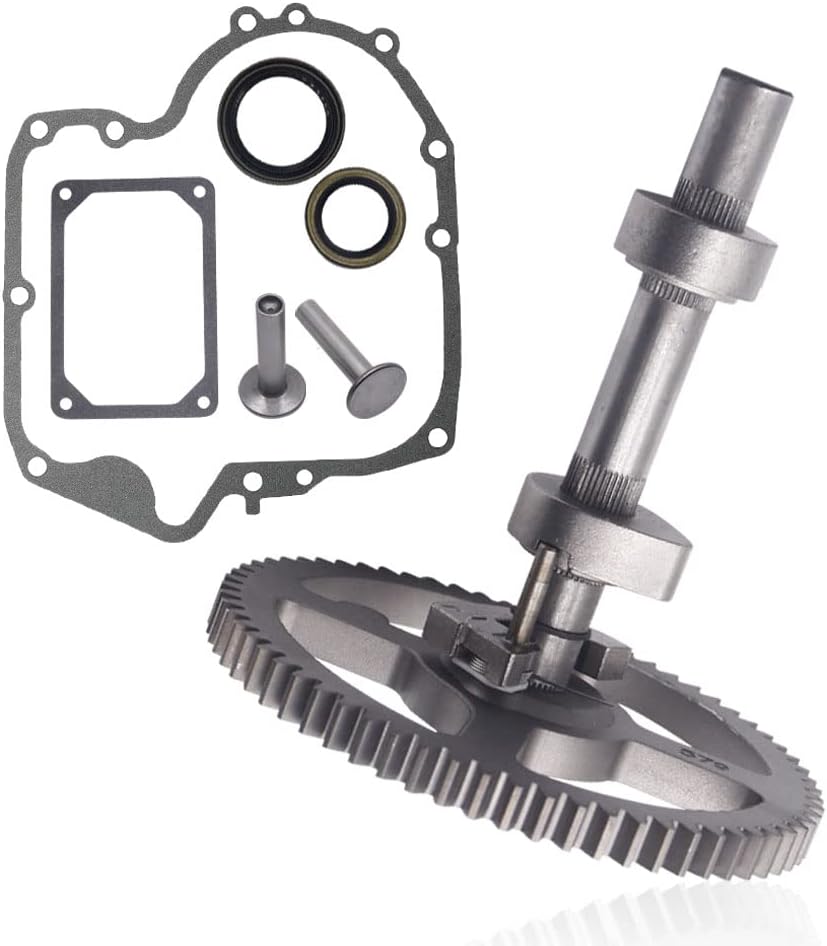 Árbol De Levas 793880 84005207 Briggs & Stratton 79268... | Cuotas sin interés