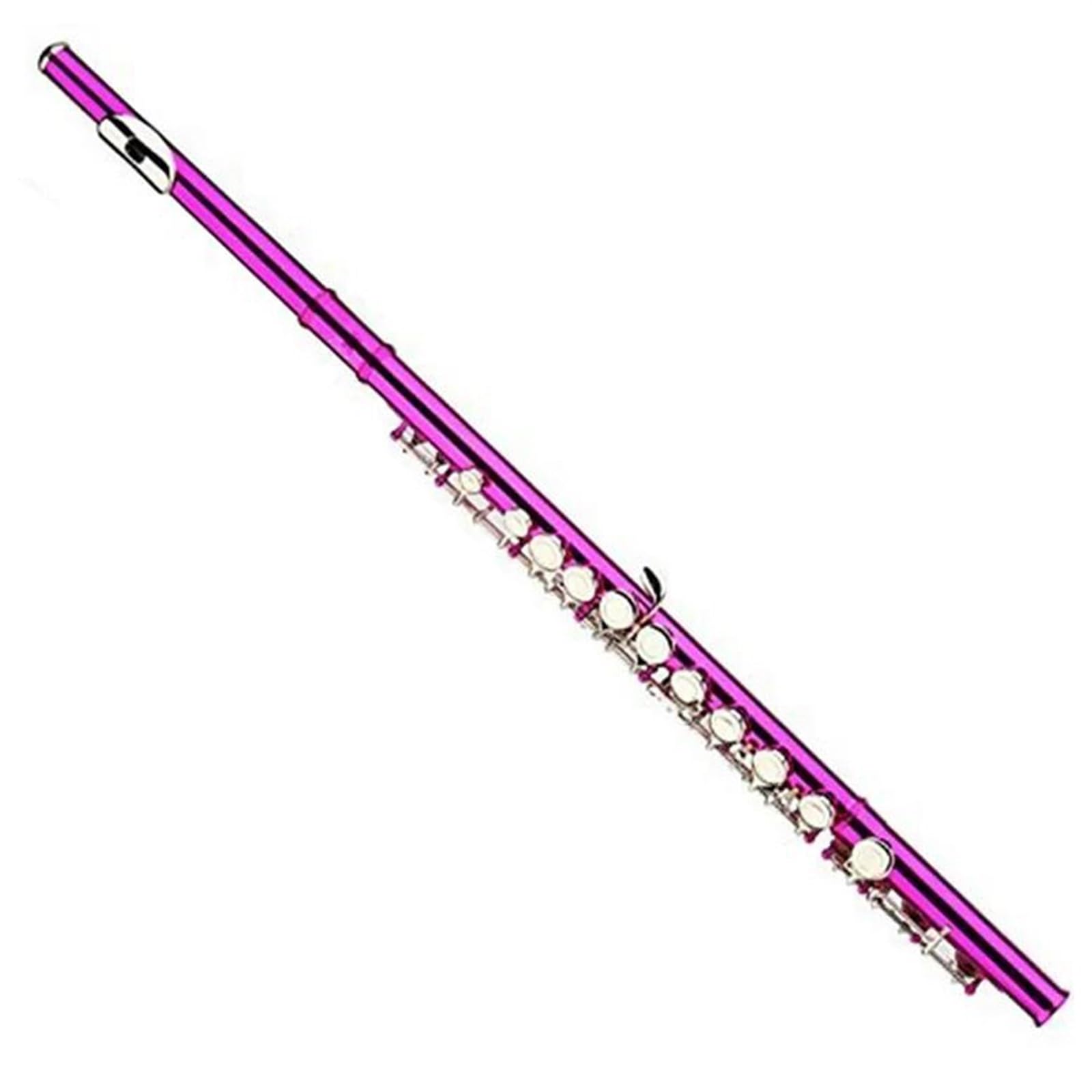Classic Flûte Traversière Flûte De Couleur Rose, Clé En Nickel, 16 Trous Fermés, Accordage En C Et Clé En E, Instruments De Flûte Professionnels Avec Étui, Livraison Gratuite