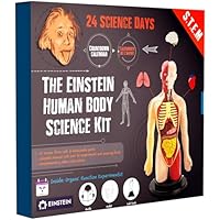 Einstein Human Body Science Kit: unique and original 24 S.T.E.M science experiments & activities all about the human body. Includes 12