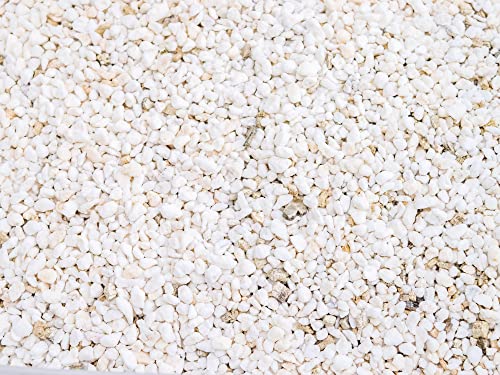 Palmetto Vermiculite Company 4 Cubic Foot Planting Soil Additive (Perlite) - Thumbnail 7