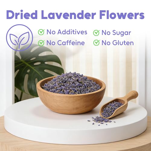 Image of Olvvla - Lavender Tea Bags - 100 Count - Premium Dried Lavendar Flowers | 100% pure lavender tea, sweet floral flavor, Non-GMO and caffeine-free, perfect gentle calm for bedtime relaxation