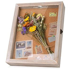 Schaukasten Bilderrahmen 36 x 28 cm Großer Blumen Schattenbox Vitrine für Andenken, Ticket, Weindeckel mit 12 Stecknadeln, Glas-Vorderdeckel, groß, grau