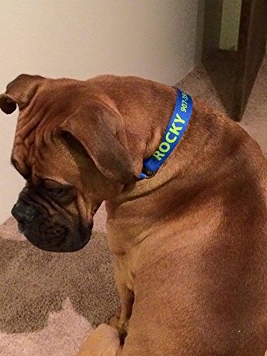 Custom Personalized Martingale Dog Collar, Teal, Small #TOP3