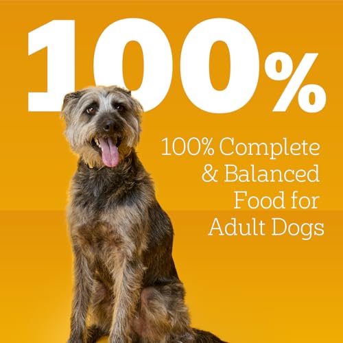 Image of Pedigree Choice Cuts Wet Dog Food Pouch, Protein Variety, 3.5 oz, 48 Count | Beef, Chicken & Filet Mignon, no added sugars or artificial flavors, 36 vitamins & minerals, 50%+ water, complete & balanced