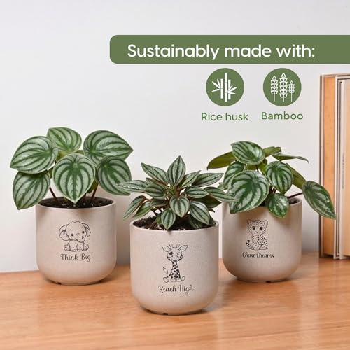 Image of Eha Earth-Friendly Printed Small Terrapod Planters for Home Decor | 3.5 Inch, Pack of 3 | Plant Gifts Made with Rice Husk Biocomposite | Flower Pot for Living Room| Sand Castle