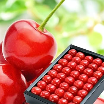 sao2箱★紅秀峰さくらんぼ さくらんぼ 紅秀峰 500g／化粧箱 手詰