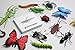 Curious Minds Busy Bags Montessori Insect Animal Match Cards and Figurines. Nomenclature Science Work