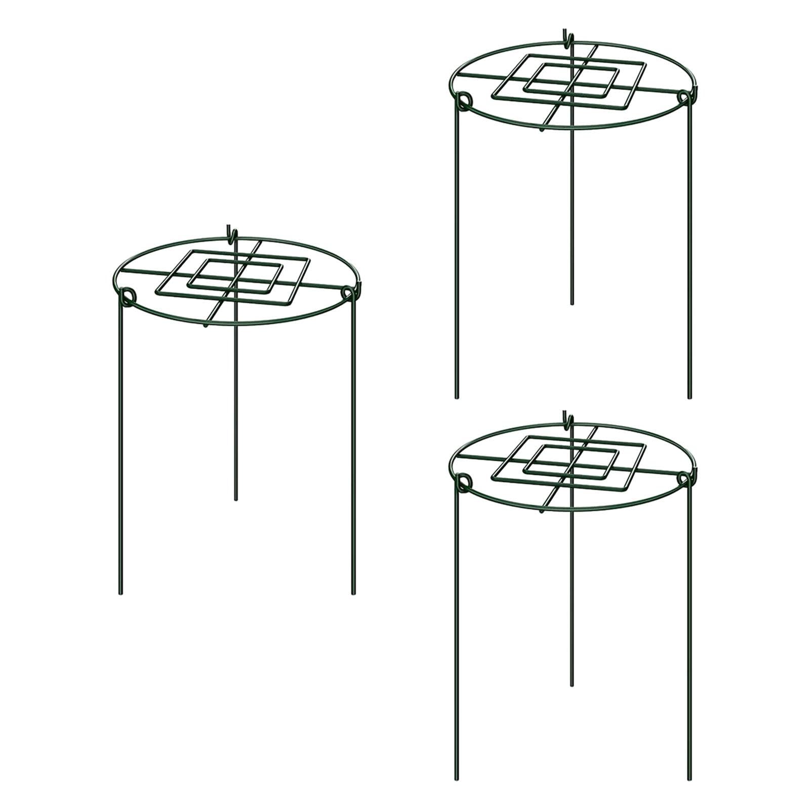Lot de 3 Cages de Support pour Pivoines, Anneaux de Support Antirouille pour La Croissance des Plantes, Idéales pour Les Pivoines, Les Tomates et Les, 30x60cm