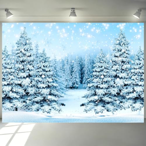 Forêt photographie arrière-plan Noël enneigé et halo bleu