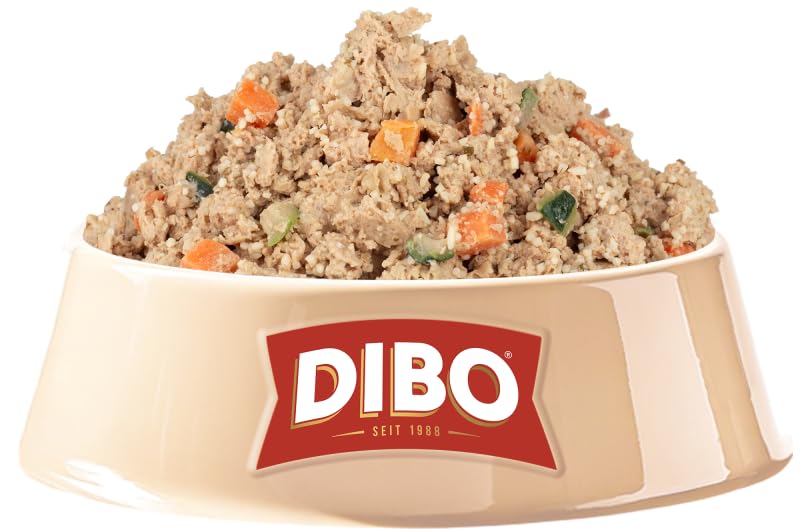 DIBO Frischemenü Lachs 18kg (45 x 400g) - Tiefgekühltes Komplettmenü mit Lachs, Reis & Gemüse – Omega‑3‑reiches Hundefutter - Sous‑Vide gegart