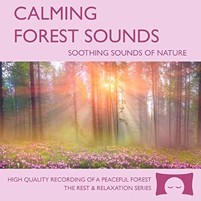 Calming Forest Sounds CD - Nature Sounds Recording - For Meditation, Relaxation and Creating a Soothing Atmosphere - Nature's Perfect White Noise