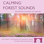 Calming Forest Sounds CD - Nature Sounds Recording - For Meditation, Relaxation and Creating a Soothing Atmosphere - Nature's Perfect White Noise