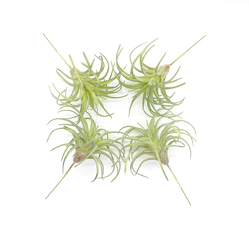ZKTECH4 Pack Artificial Succulent Plants Flocked Air Plants Grass Faux Flocking Tillandsia Air Plants Bromeliads for Home Garden Decor Terrarium Project Fake Artificial Plants Arrangement