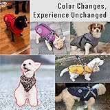 Savlot Hundemantel mit Geschirr Welpenmäntel Kleine Hundejacke mit Reißverschluss wasserdichte Winterjacken für kleine und Mittelgroße Hunde